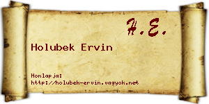Holubek Ervin névjegykártya